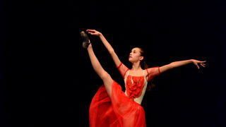 Solo Art natjecanje: Plesna udruga Pirueta