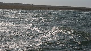 Image 1177875 (auto)