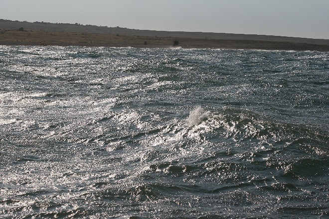 Image 1177875 (auto)