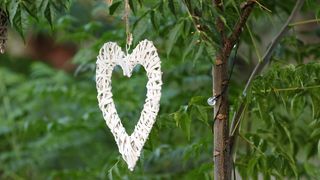 Romantični tjedan u Ninu Romantični tjedan u Ninu