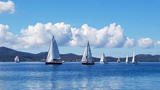 Zadarska Koka 2016. 22. listopada 2016. Foto: Mladen Malik Zadarska Koka 2016. 22. listopada 2016. Foto: Mladen Malik