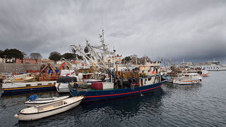 Ribarice u zadarskoj luci, Foto: Leo Banić