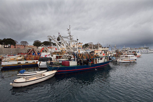 Ribarice u zadarskoj luci, Foto: Leo Banić