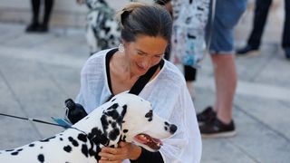 Red Carpet Dalmatian Walk @Trg pet bunara Red Carpet Dalmatian Walk @Trg pet bunara