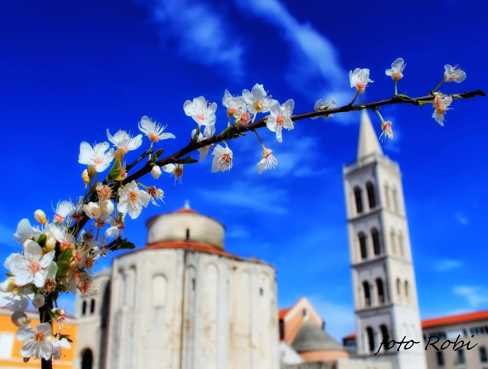 Kako ja vidim i koliko volim svoj grad. Foto: Roberto Lerga 1966. – 2016. Kako ja vidim i koliko volim svoj grad. Foto: Roberto Lerga 1966. – 2016.