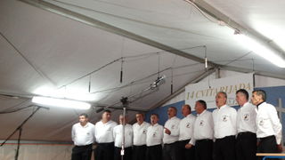 14. Cvitarijada u Nadinu