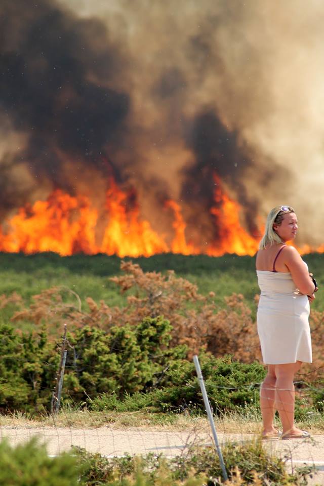 Lokaliziran požar kod Košljuna na otoku Pagu Lokaliziran požar kod Košljuna na otoku Pagu
