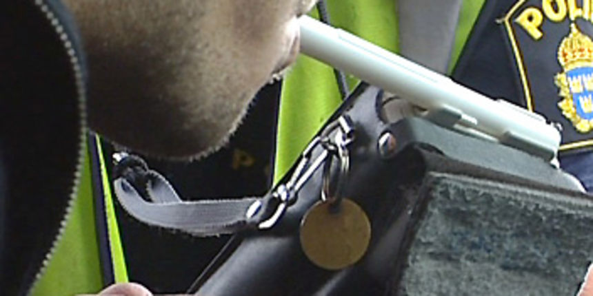 Image 1202983 (auto)