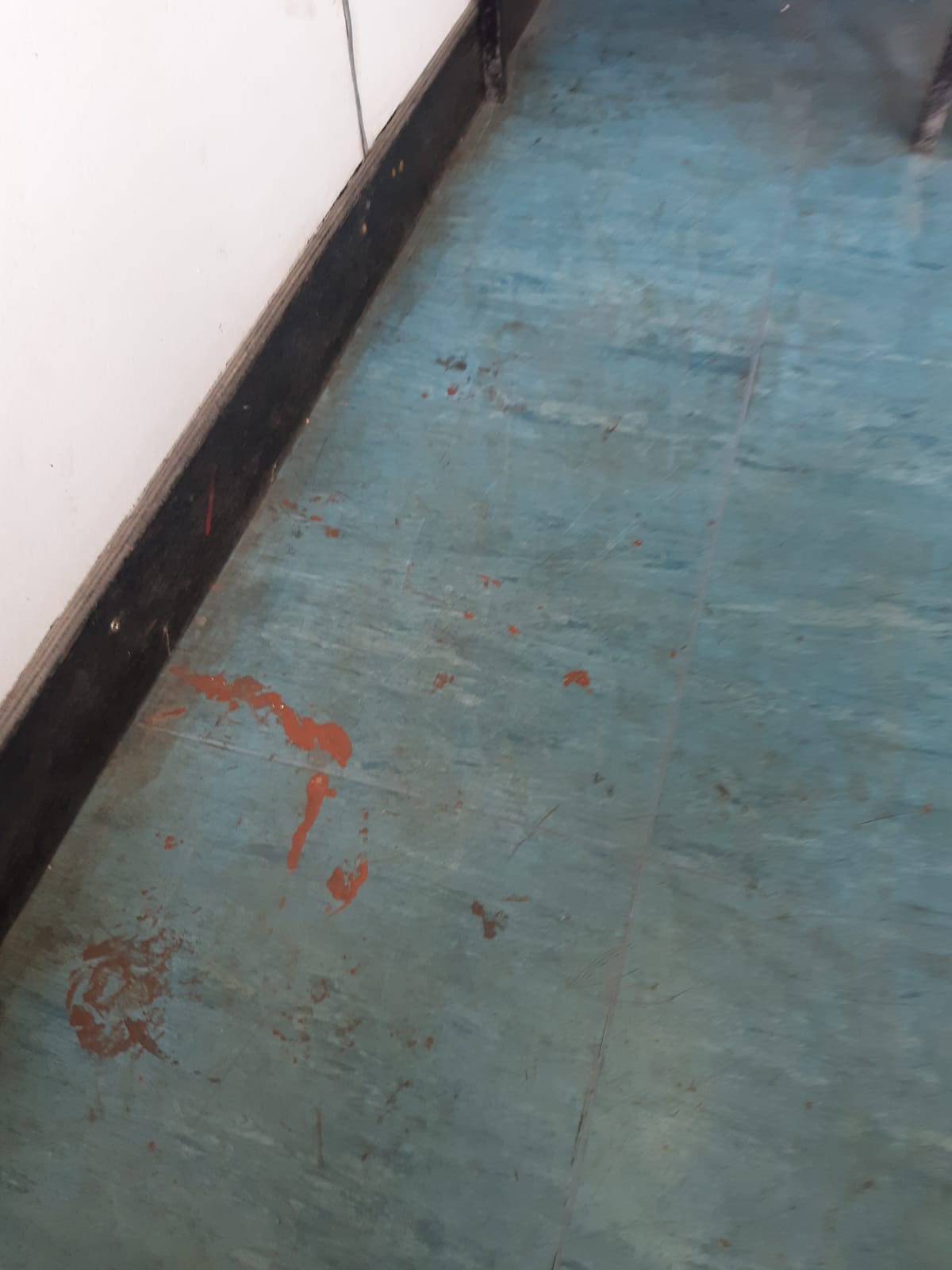 Kako izgleda putovanje na liniji Zadar(Gaženica)-Preko? Kako izgleda putovanje na liniji Zadar(Gaženica)-Preko?