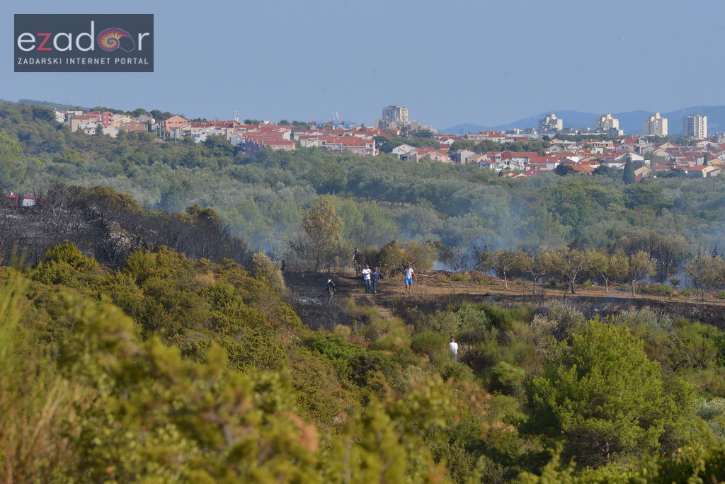 Zračne i kopnene vatrogasne snage u rekordnom roku lokalizirale požar između Dikla i Kožina