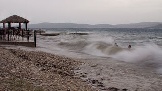 Image 1194599 (auto)