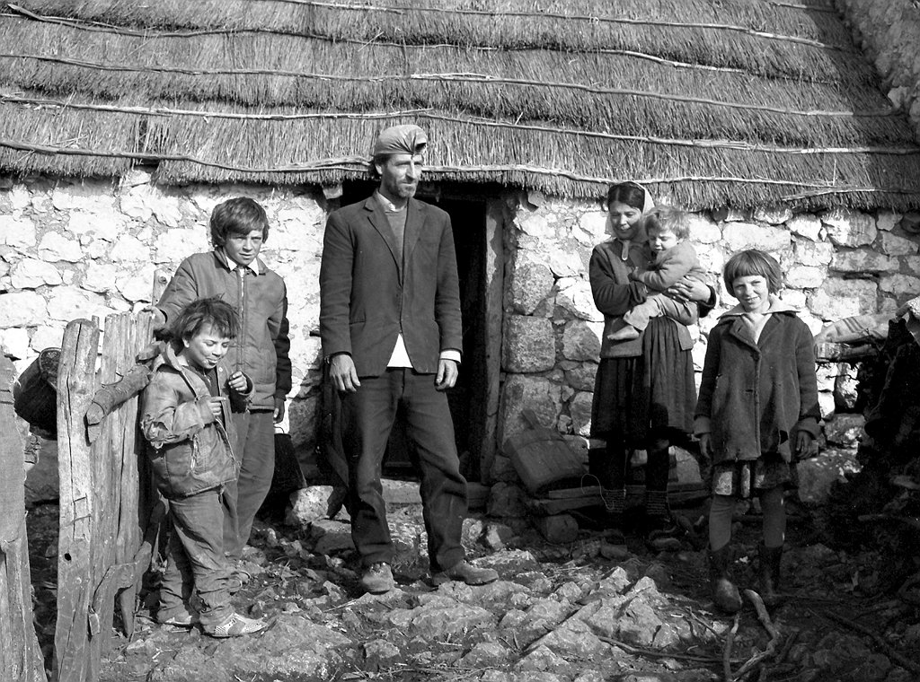 Image 1192089 (auto)