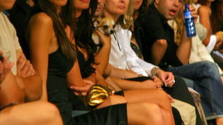 Image 1174731 (auto)