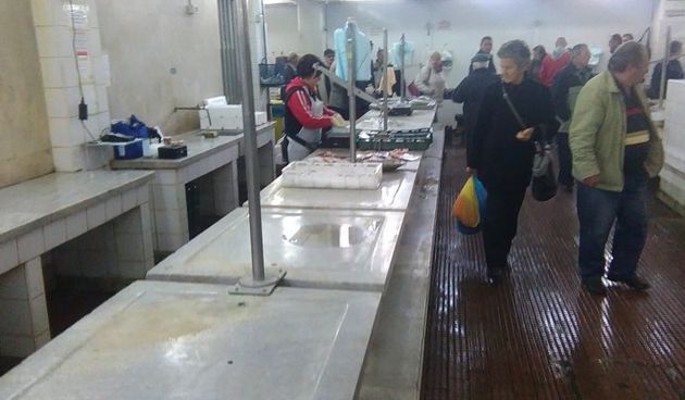 Na zadarskoj ribarnici jutros izostala gužva, Foto: Radio Zadar