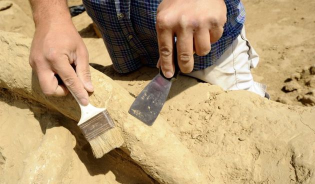 Arheolog, foto: www.kurir.rs