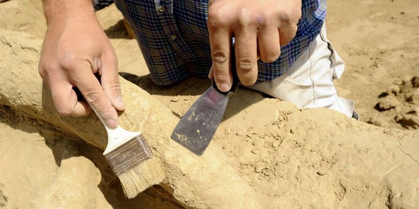 Arheolog, foto: www.kurir.rs Arheolog, foto: www.kurir.rs