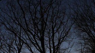 16.03.2014., Juzni Velebit – Topljenje snijega na Juznom Velebitu i procvjetani prvi planinski cvjetovi u ranom proljecu najavljuju skorasnje toplije vrijeme. Photo: Filip Brala/PIXSELL Autor Filip Brala/PIXSELL Ključne riječi rekreacija, planina, pro 16.03.2014., Juzni Velebit – Topljenje snijega na Juznom Velebitu i procvjetani prvi planinski cvjetovi u ranom proljecu najavljuju skorasnje toplije vrijeme. Photo: Filip Brala/PIXSELL Autor Filip Brala/PIXSELL Ključne riječi rekreacija, planina, pro