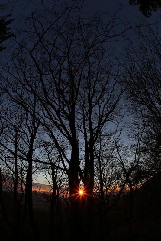 16.03.2014., Juzni Velebit – Topljenje snijega na Juznom Velebitu i procvjetani prvi planinski cvjetovi u ranom proljecu najavljuju skorasnje toplije vrijeme. Photo: Filip Brala/PIXSELL Autor Filip Brala/PIXSELL Ključne riječi rekreacija, planina, pro 16.03.2014., Juzni Velebit – Topljenje snijega na Juznom Velebitu i procvjetani prvi planinski cvjetovi u ranom proljecu najavljuju skorasnje toplije vrijeme. Photo: Filip Brala/PIXSELL Autor Filip Brala/PIXSELL Ključne riječi rekreacija, planina, pro