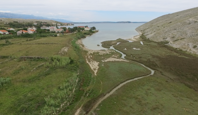 “Ljepota malih močvarnih staništa”: terenska nastava u Pagu