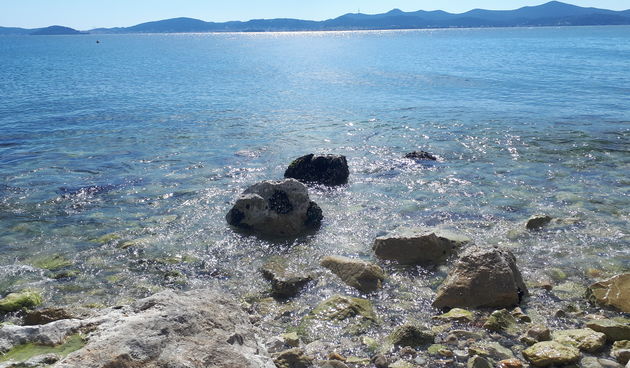 Bamboo puntamika more sunce dhmz