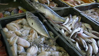 Image 1201835 (auto)