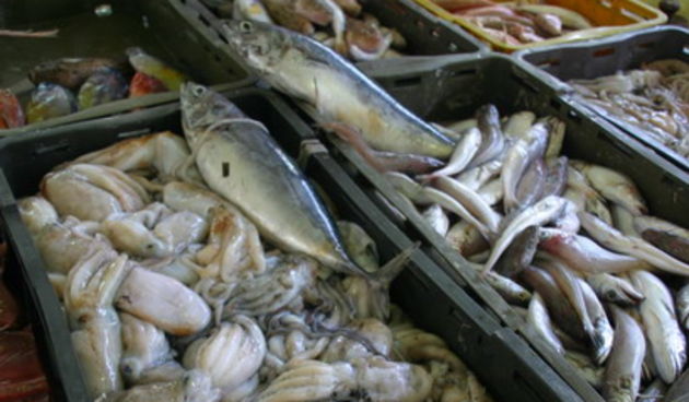 Image 1201835 (auto)