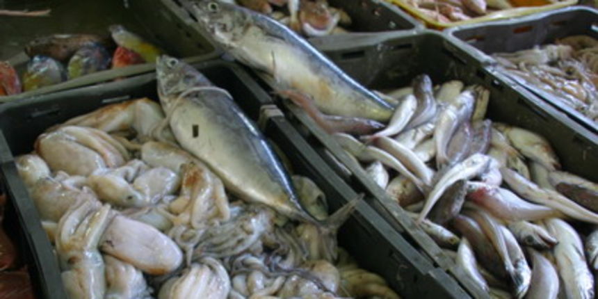 Image 1201835 (auto)