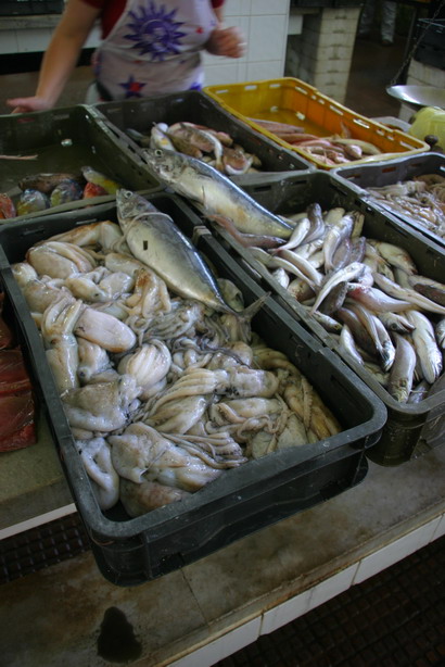 Image 1201835 (auto)