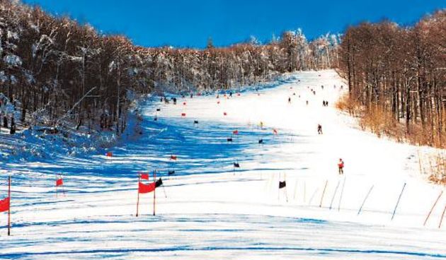 Bjelolasica (Foto:www.radio-ogulin.hr)