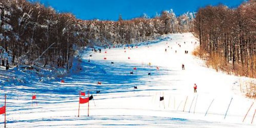 Bjelolasica (Foto:www.radio-ogulin.hr)