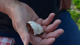 Klepetan se ipak vratio Malenoj Klepetan se ipak vratio Malenoj