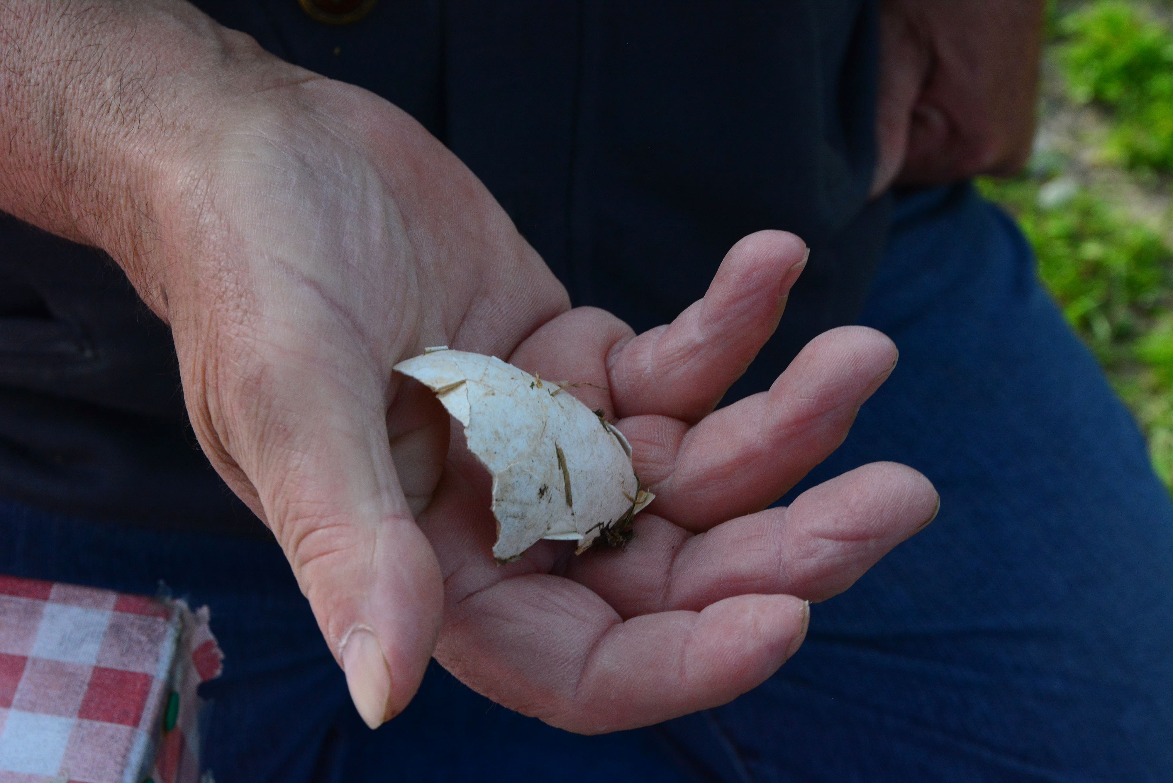 Klepetan se ipak vratio Malenoj Klepetan se ipak vratio Malenoj