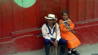 Tropske ptice u kolumbijskom Parque National Natural Tatamá u zapadnim Andama. Foto: Maja Bjelić