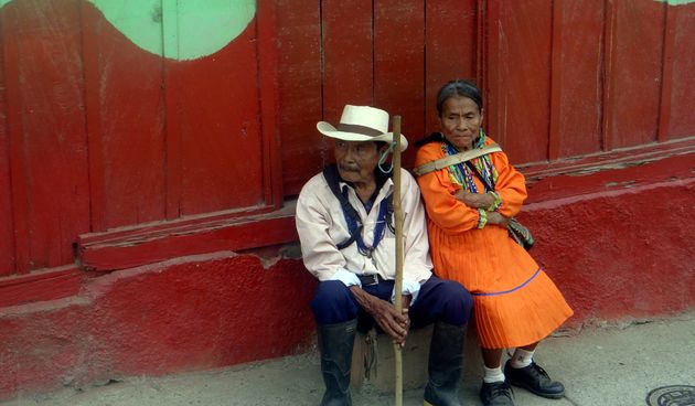 Tropske ptice u kolumbijskom Parque National Natural Tatamá u zapadnim Andama. Foto: Maja Bjelić