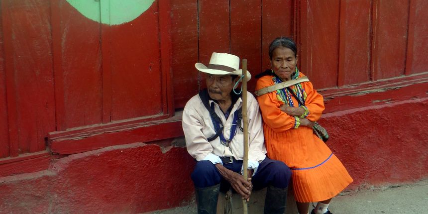Tropske ptice u kolumbijskom Parque National Natural Tatamá u zapadnim Andama. Foto: Maja Bjelić