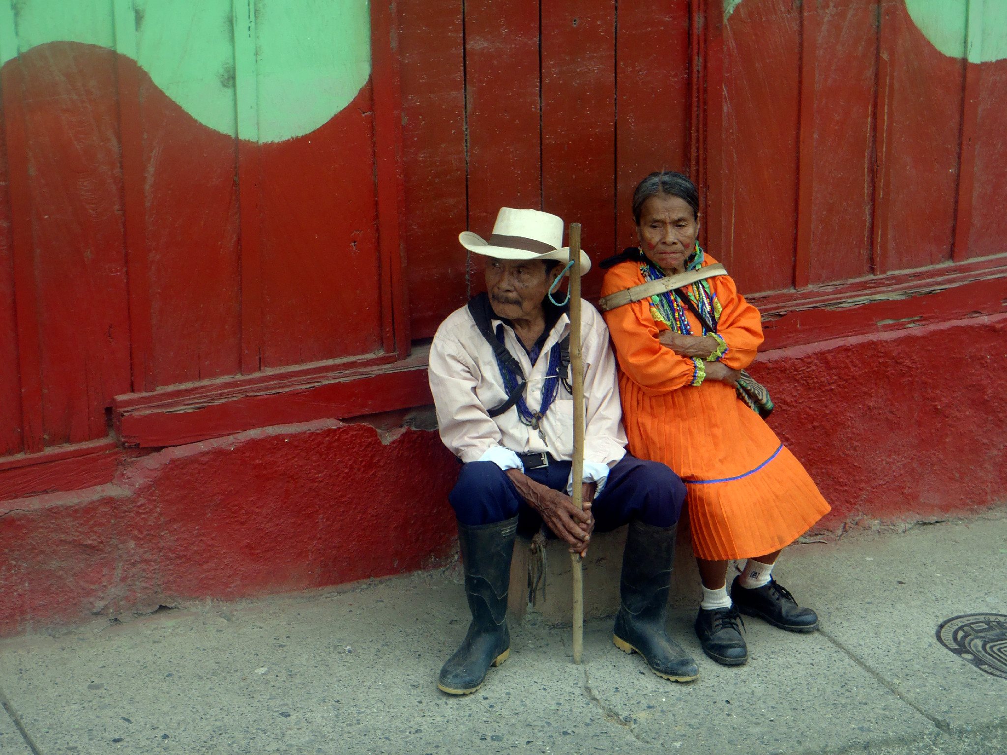 Tropske ptice u kolumbijskom Parque National Natural Tatamá u zapadnim Andama. Foto: Maja Bjelić