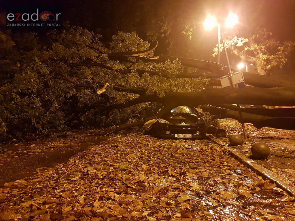 Jak vjetar srušio stablo na parkirane automobile kod OŠ Petar Preradović na Poluotoku