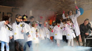 Virski karnevalić 2016. Virski karnevalić 2016.