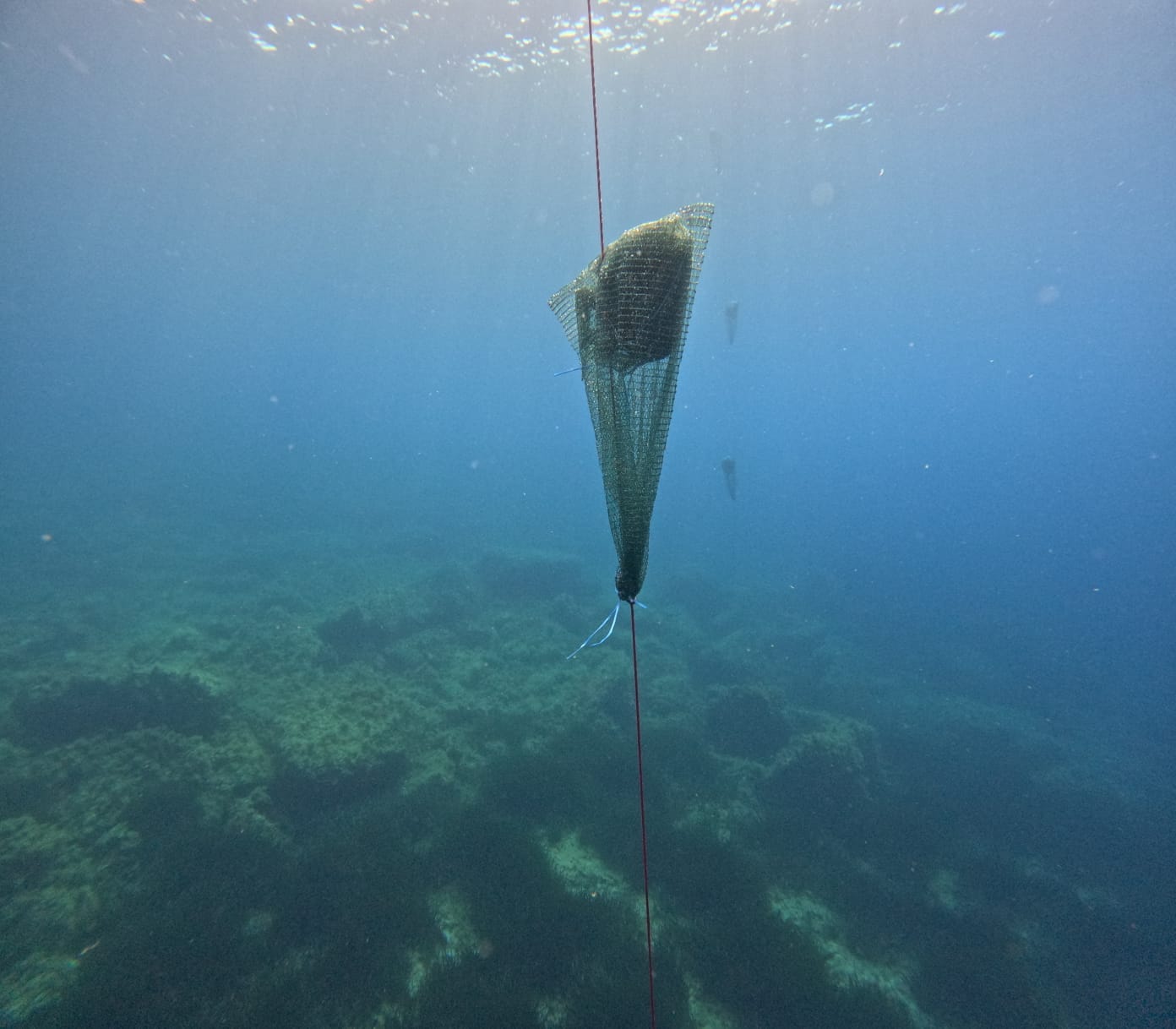 Image 6027739 (auto)