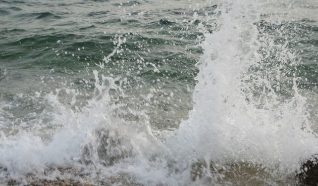 more (foto: D.Zovko)