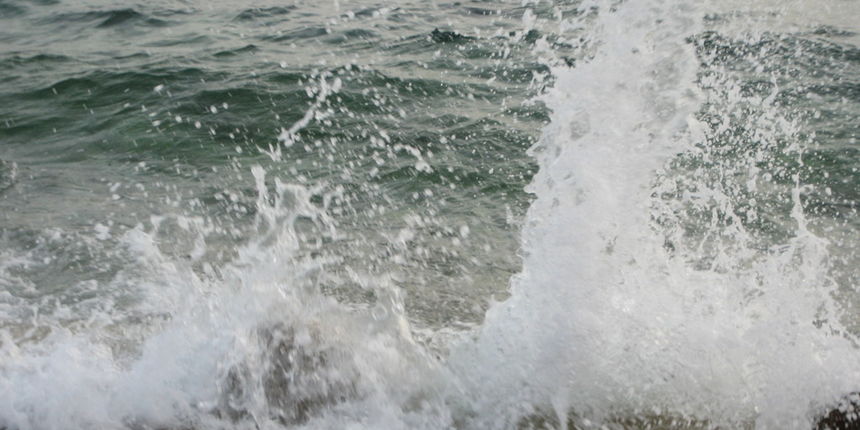 more (foto: D.Zovko)