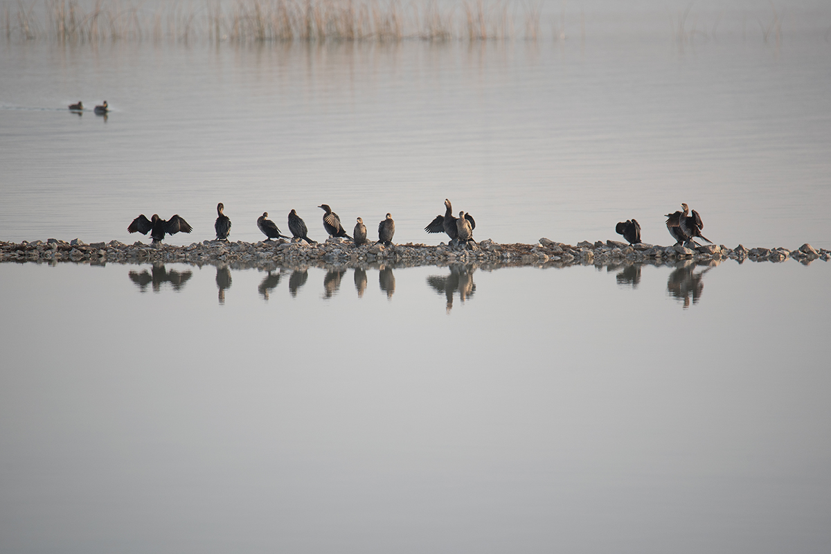 Čarobno jutro na Vranskom jezeru Čarobno jutro na Vranskom jezeru