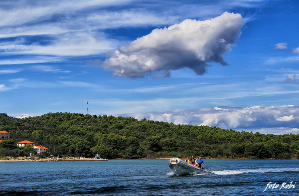 Đir s roniocima po Zadarskom arhipelagu, Foto: Roberto Lerga Đir s roniocima po Zadarskom arhipelagu, Foto: Roberto Lerga