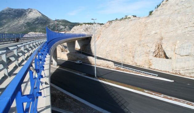 dalmatina, foto: tportal.hr