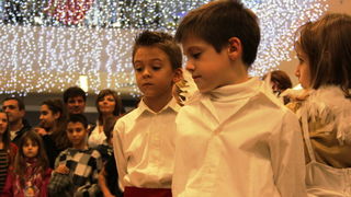 Predbožićna akcija u Suernovi, Foto: Udruga Down Zadarske županije, Anđela Horvat