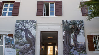 Biograd na moru: Otvorena izložba fotografija “Lunjske masline” Biograd na moru: Otvorena izložba fotografija “Lunjske masline”