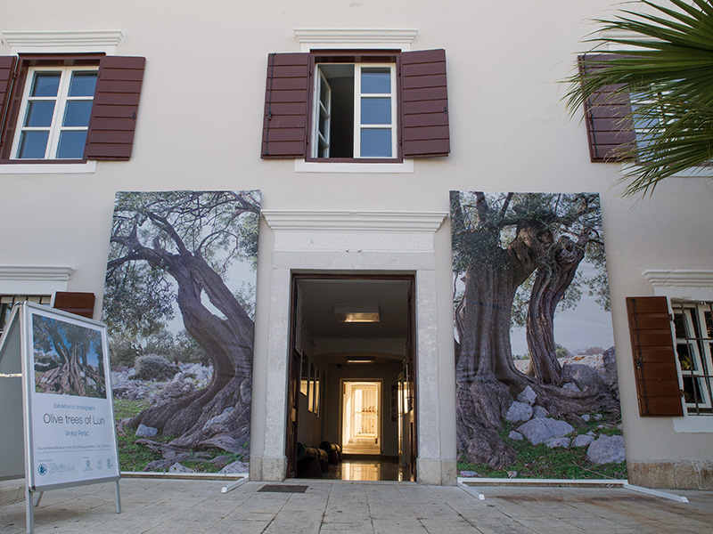 Biograd na moru: Otvorena izložba fotografija “Lunjske masline” Biograd na moru: Otvorena izložba fotografija “Lunjske masline”