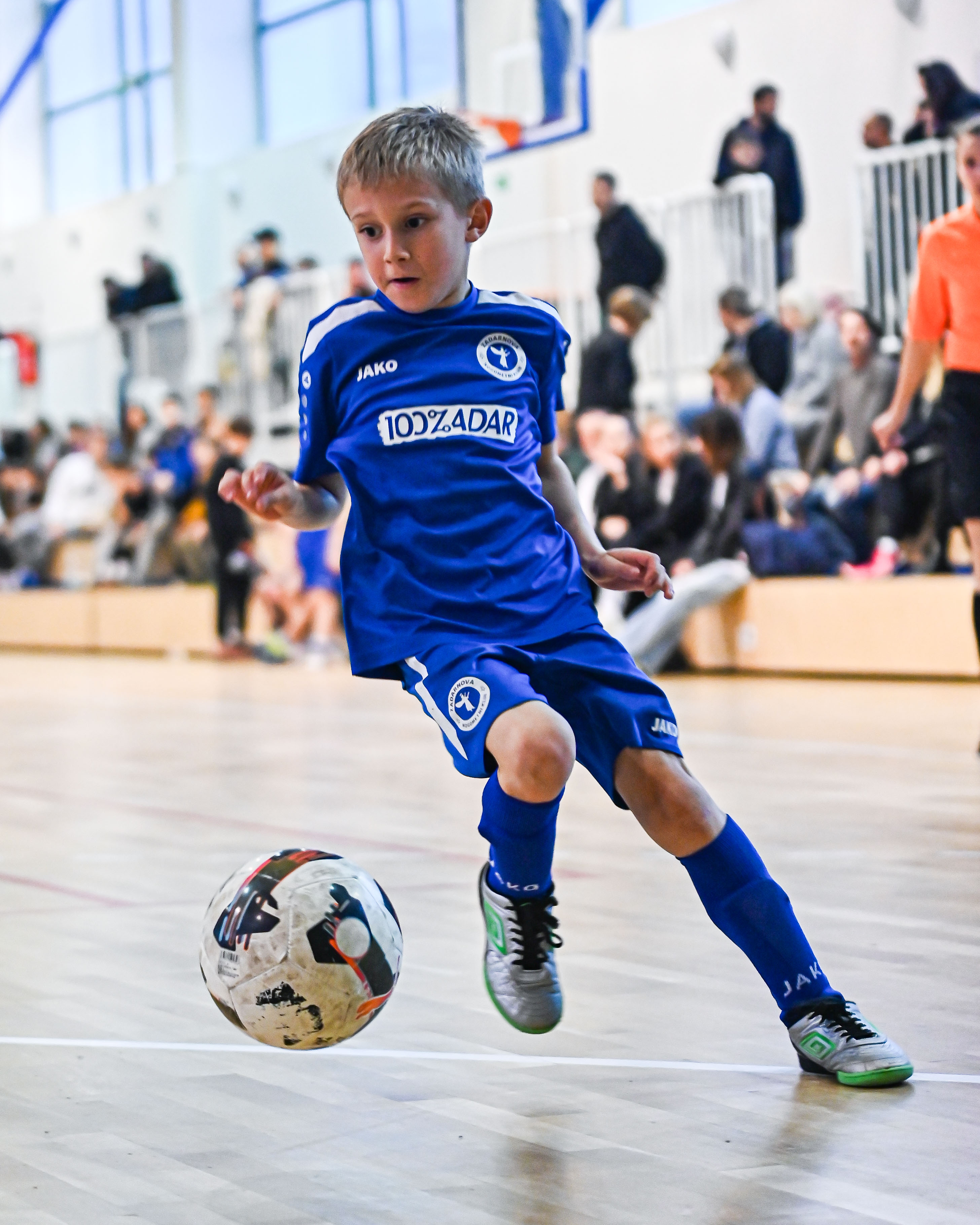 1.Cateleya indoor Cup 1.Cateleya indoor Cup
