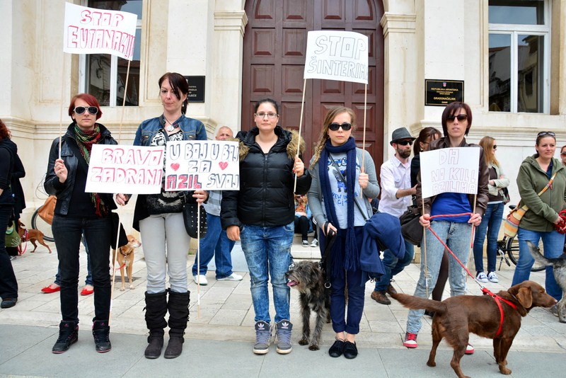 Skup podrške za NO KILL skloništa za životinje,  foto Iva Perinčić