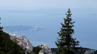 Nedjelja na Zavizanu